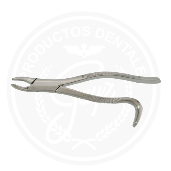 Forcep adulto UNION