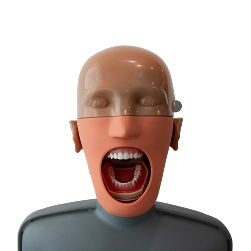 Simulador T100 AJAX - Image 2